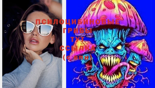 дурь Волоколамск