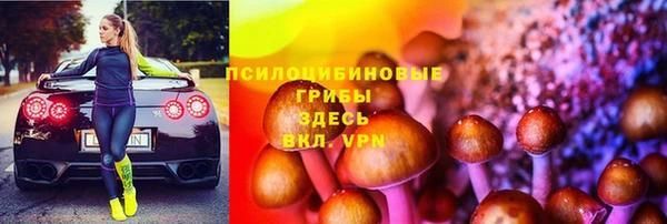 дурь Волоколамск