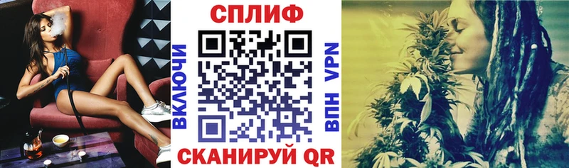 где найти наркотики  Пикалёво  mega ТОР  МАРИХУАНА ГИДРОПОН 